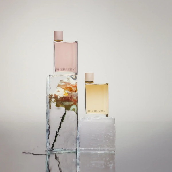 Nuoc Hoa Burberry Her EDP 100ml Nu Chinh Hang 8