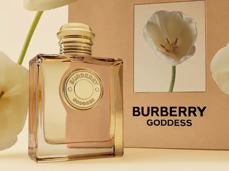 Nước Hoa Burberry Nữ Thơm Lâu: 5 Siêu Phẩm Cho Mọi Cô Gái 7 Nuoc Hoa Burberry Nu Thom Lau 5 Sieu Pham Cho Moi Co Gai 1