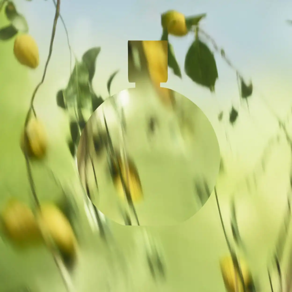 Nước Hoa Chanel Chance Eau Fraiche EDP Nữ Chính Hãng 100ml