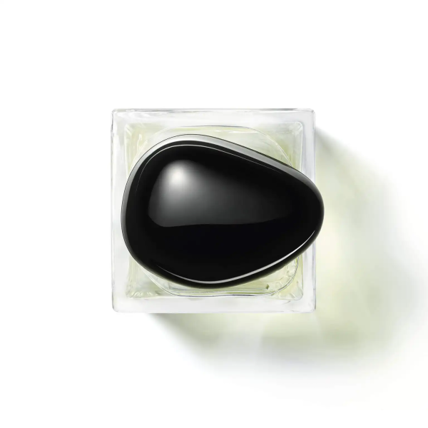 Nuoc Hoa Giorgio Armani The Yulong EDT 100ml Unisex Chinh Hang 2