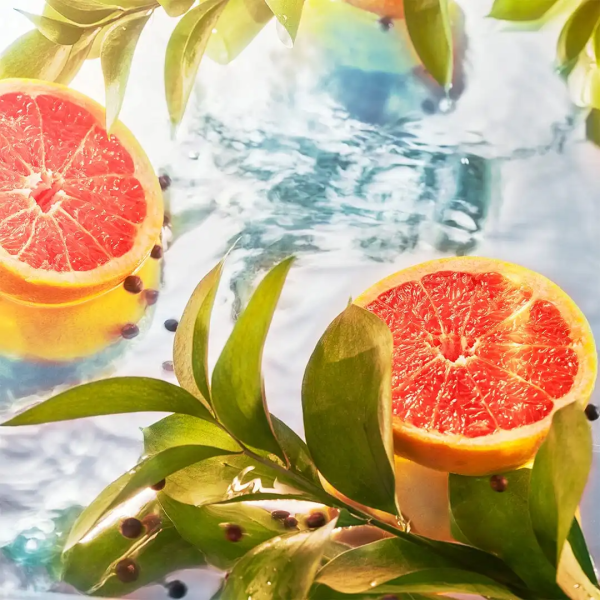 Nuoc Hoa Roja Parfums Elysium Pour Homme Eau Intense 2024 EDP 100ml Nam Chinh Hang